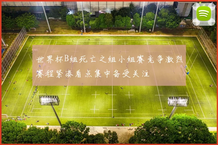 世界杯B组死亡之组小组赛竞争激烈赛程紧凑看点集中备受关注
