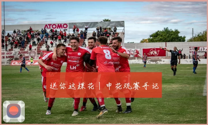 送你这棵花丨申花观赛手记
