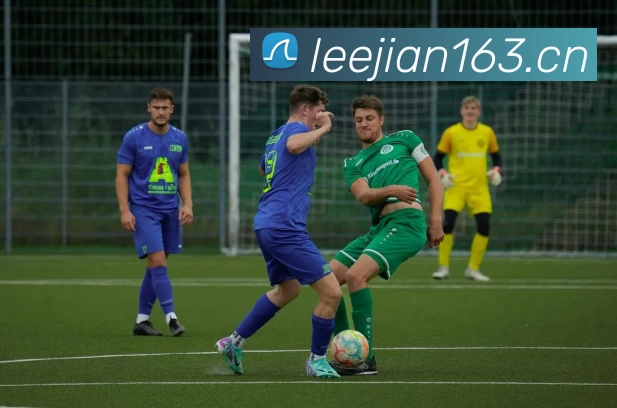 App Interface Preview